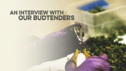 An Interview with our Budtenders at our Marijuana Dispensary