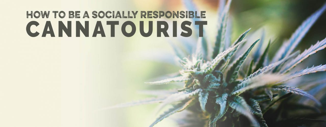 How to Be a Socially Responsible Cannabis Tourist - The Stone