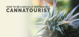 How to Be a Socially Responsible Cannabis Tourist - The Stone