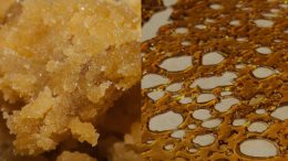 The-Stone-Dispensary-Coupon-Extracts-Wax-Shatter