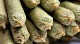$111.18 / 28 JOINTS (1 gram each)