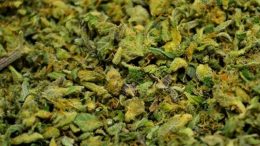 $44.48 / 4 QUARTERS SHAKE and TRIM