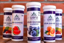 Expert Opinions on Sun State CBD Gummies