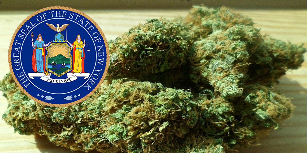 New York Seal with Cannabis Buds behind it