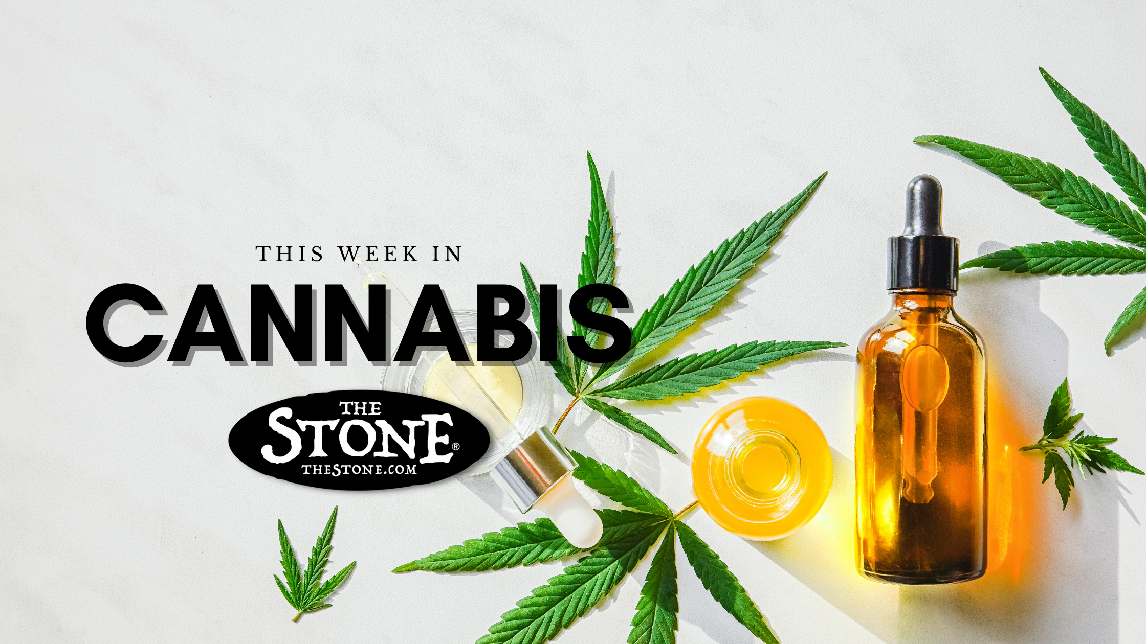 This Week in Cannabis at The Stone Dispensary Promo Image