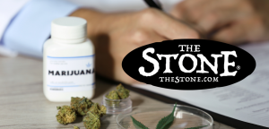 Cannabis in the Medical Field from Doctors Perspective - The Stone