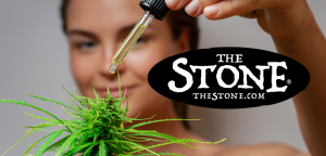 Cannabis and the Microbiome The Most Effective Way to Change Your Gut Health - The Stone