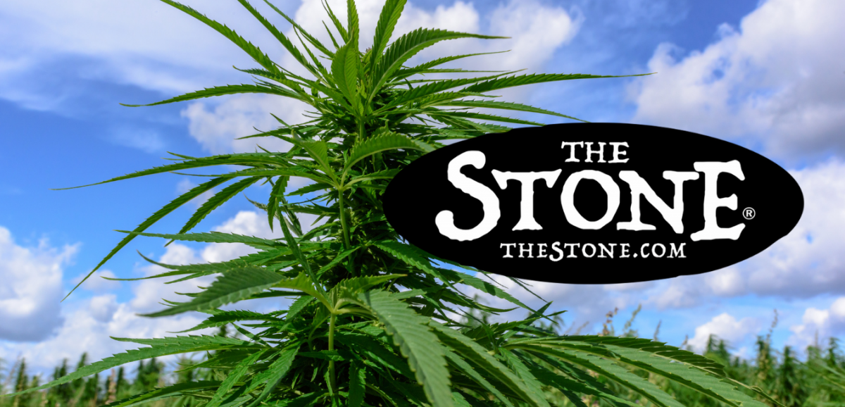 Growing Cannabis Growth Cycles - Part 1 - The Stone