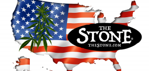 Will Cannabis Be Legal In 50 States by 2022 - The Stone