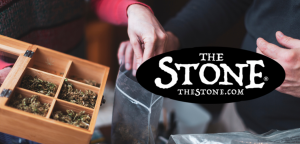 Cannabis Class 15 ways to Store Weed Properly - The Stone
