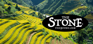 Cannabis Where In Asia Did It Originate - The Stone