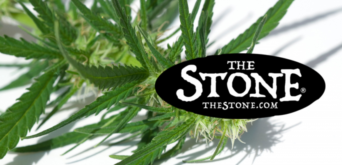 Cannabis Class The Difference Between Indica & Sativa - The Stone