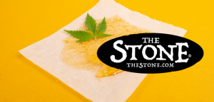 Cannabis Class What Does Marijuana Resin Look Like - The Stone