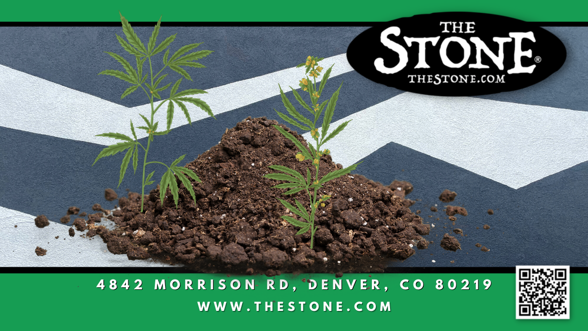 What's the Best Soil to use for Growing Cannabis - The Stone Dispensary - 4842 Morrison Rd, Denver, CO 80219