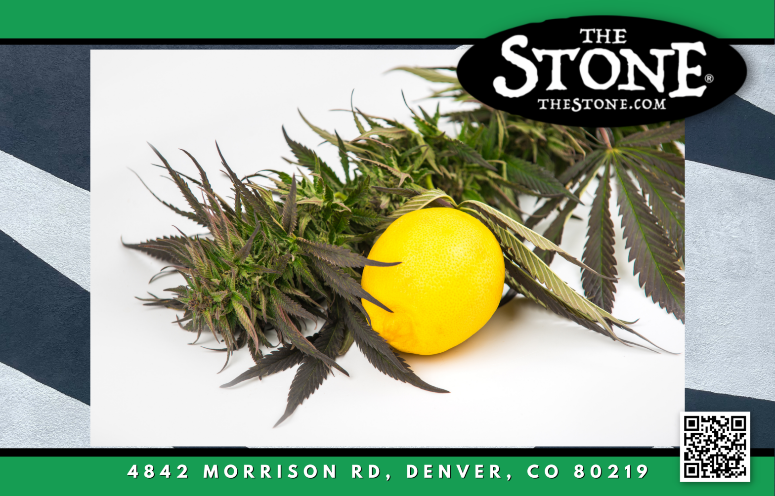 How-to Series Organic Growing Mediums for Cannabis Plants - The Stone