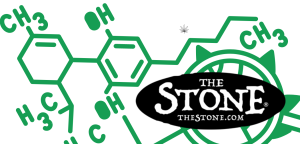 Can You Buy CBD Rosin Wholesale in Colorado - The Stone