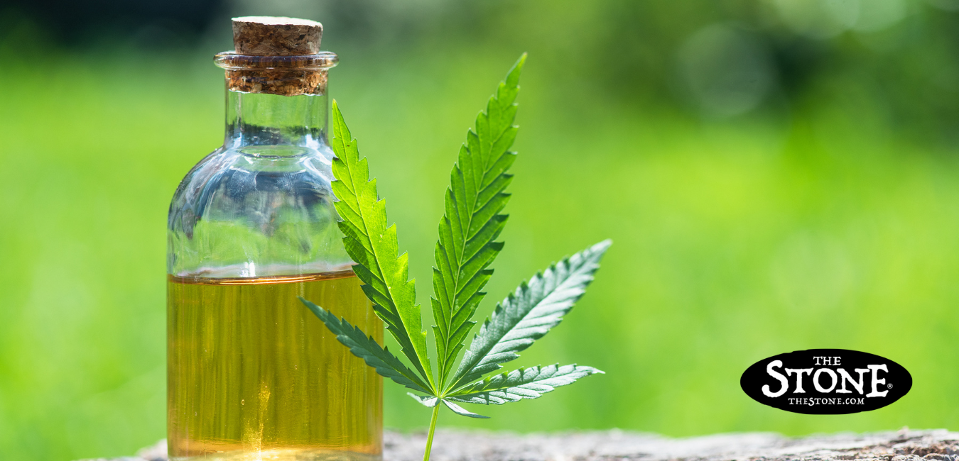 Denver Cannabis Shops Ask What Is It About CBD Tincture You Need To Know - The Stone