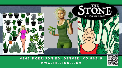 How To Know A Male Marijuana Plant And What To Do Should You Find Them - The Stone Dispensary - 4842 Morrison Rd, Denver, CO 80219