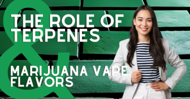 The Role of Terpenes in Marijuana Vape Flavors and Experiences - The Stone Dispensary