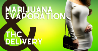 The Science Behind Marijuana Vaporization and THC Delivery - The Stone Dispensary