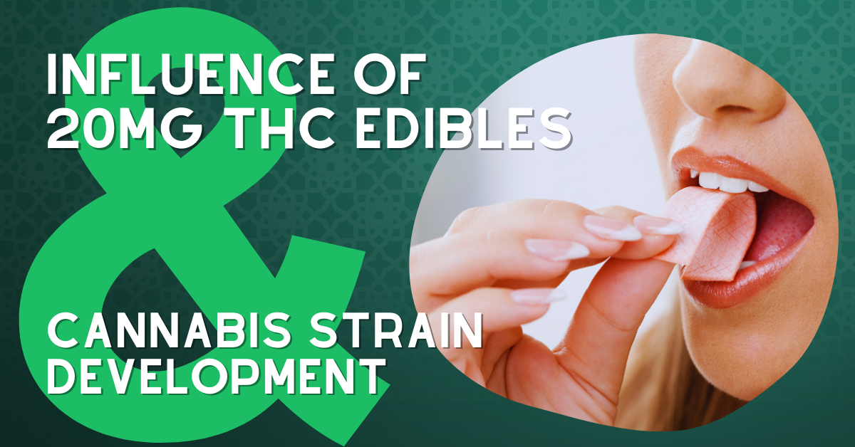 The Influence of 20mg THC Edibles on Cannabis Strain Development- The Stone Dispensary