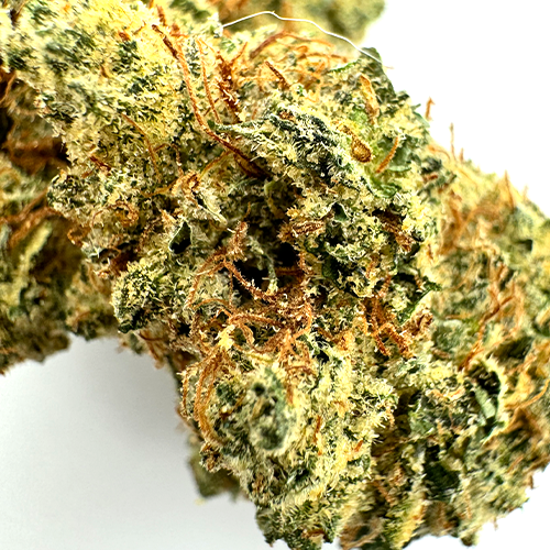  Colorado Gold Animal Cookies – Shake 1/4 