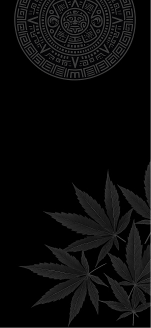 Prime Deals at Denver's Finest Dispensary